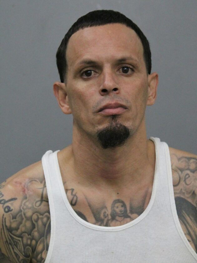 Tactical team, crisis negotiators help arrest Marshalltown felon | News, Sports, Jobs - Vimarsana News